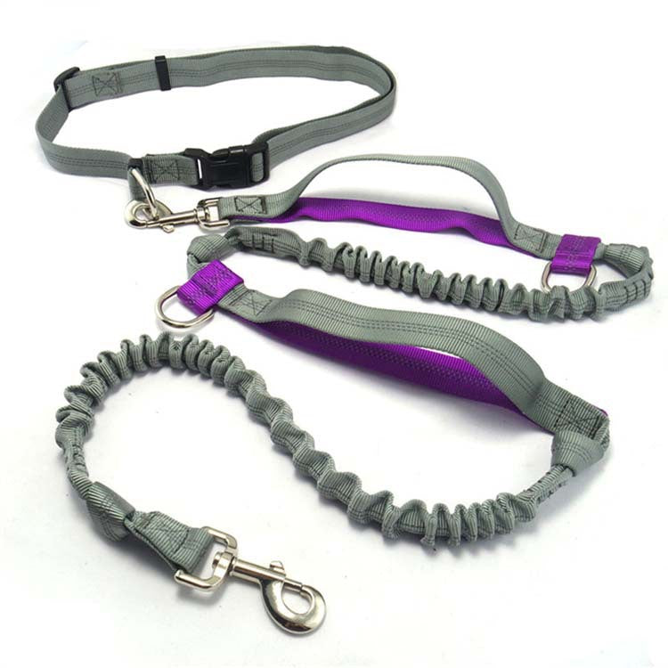 Multifunctional Reflective Running Strap Dog Taction Rope -  My BrioTop