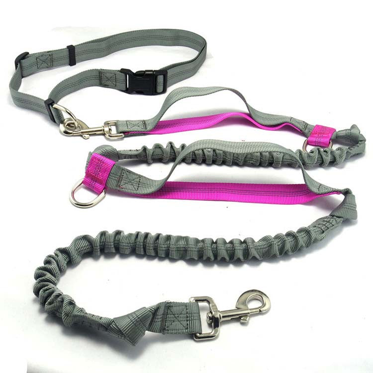 Multifunctional Reflective Running Strap Dog Taction Rope -  My BrioTop