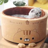 Cat Nest - Cute Design Creative